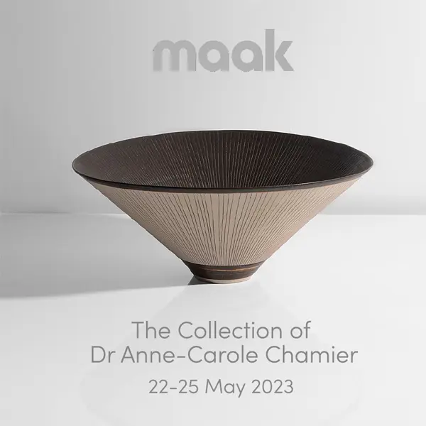 The collection of <br>Dr Anne-Carole Chamier